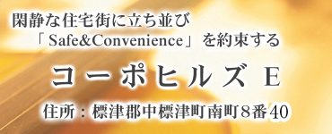 コーポヒルズE