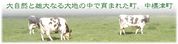 {wi摜Q